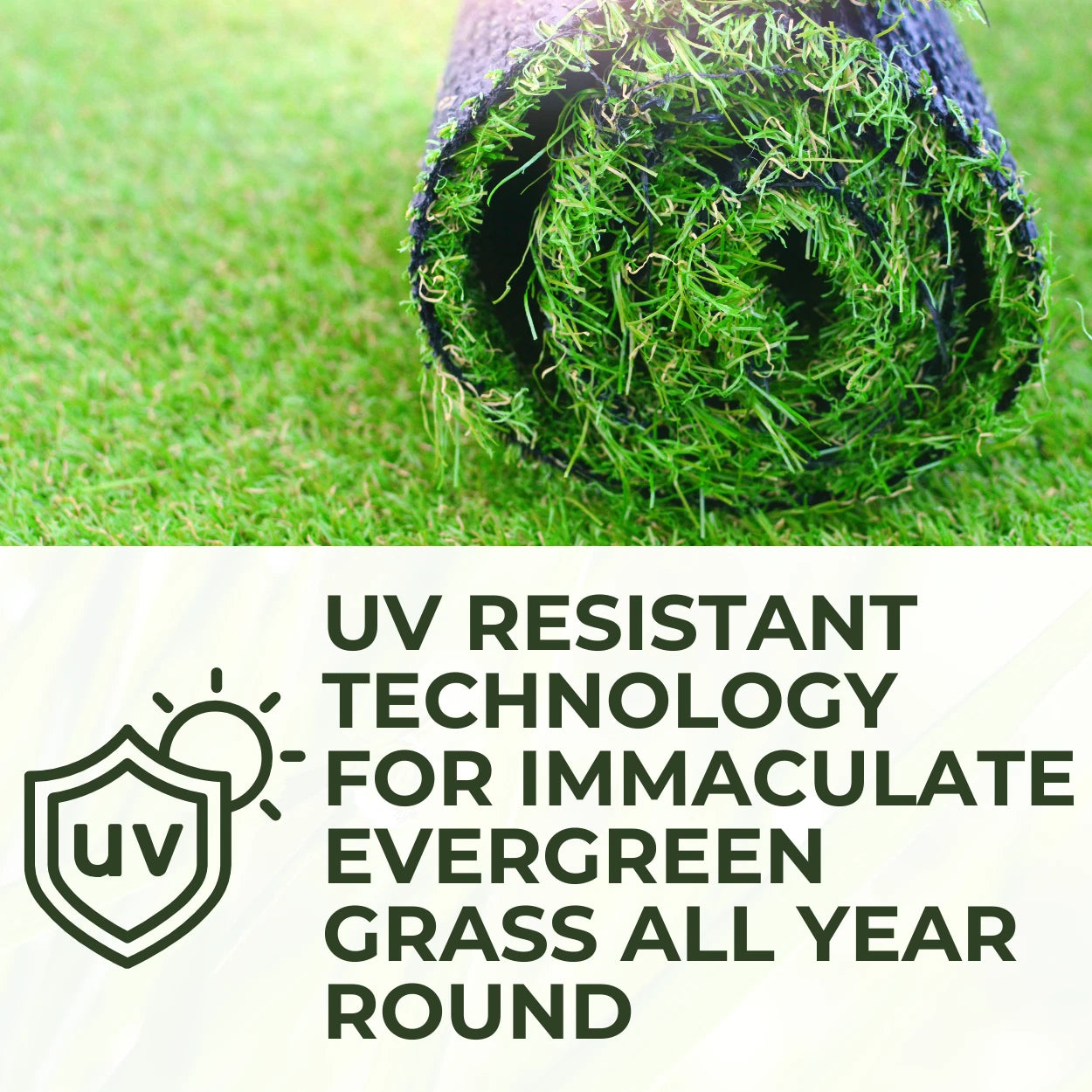 Budget Artificial Grass 7mm Value Fake Lawn Astro Turf | 7 Widths