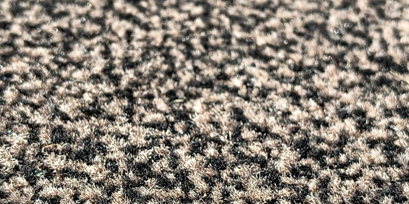 PVC backed Fiesta Tuffed cut pile Carpet Door mats Brown and black